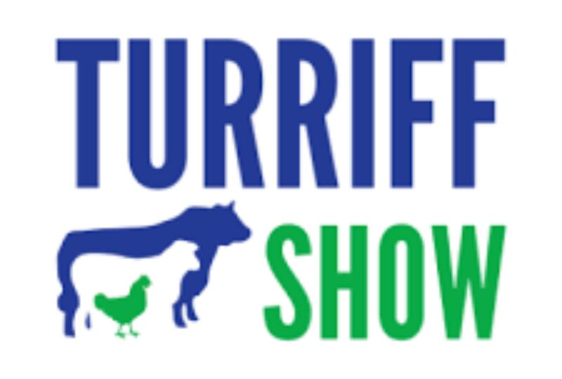 Turriff show
